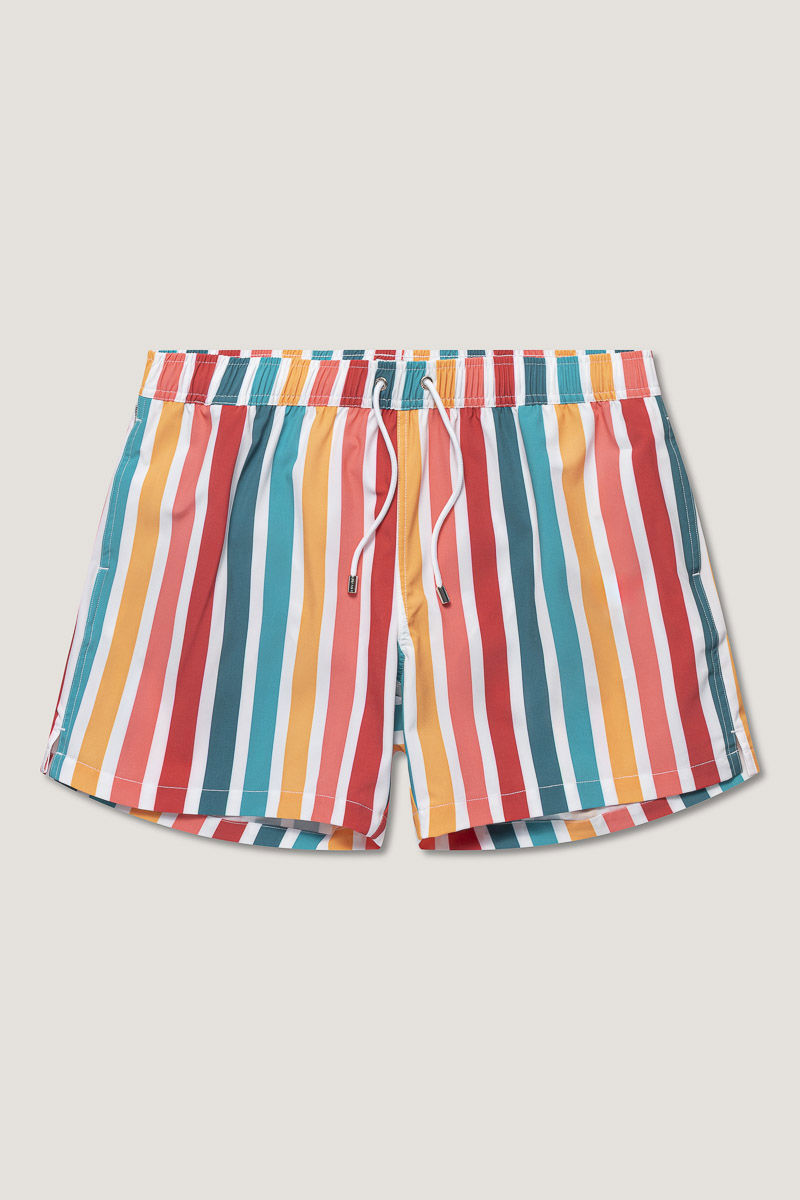 Classic Swimshort Stripe Stripe Multi