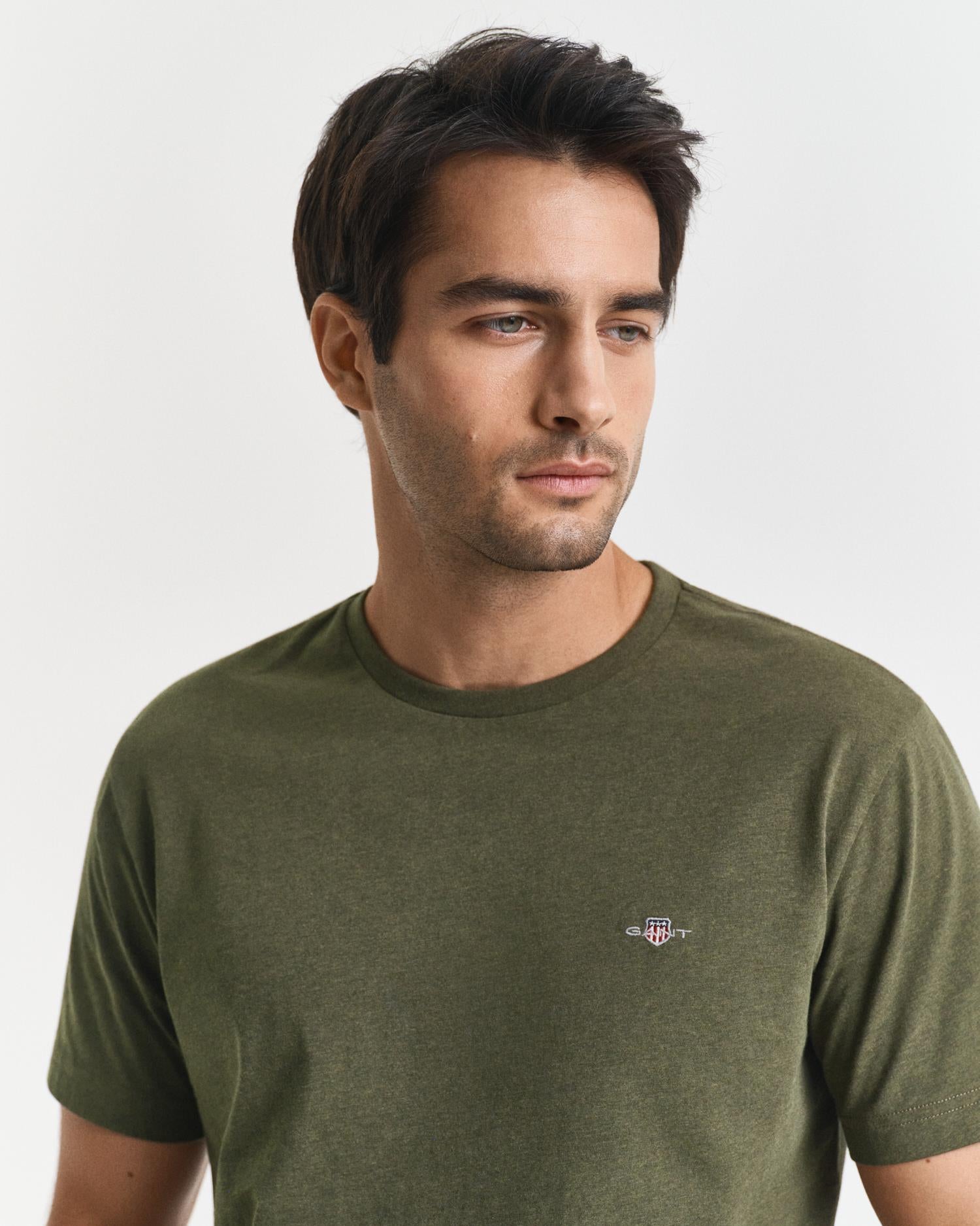 Reg Shield Ss T-Shirt Khaki Green Mel
