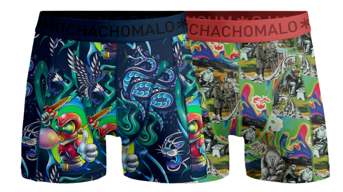 New School 04 2pk Boxer Print/Print