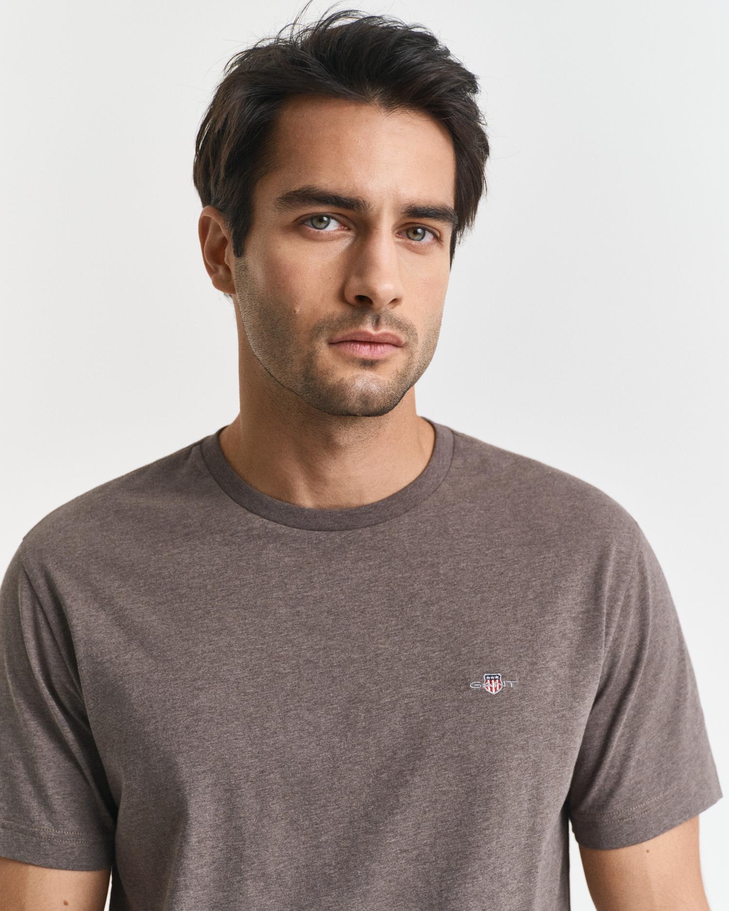 Reg Shield Ss T-Shirt Seawood Melange