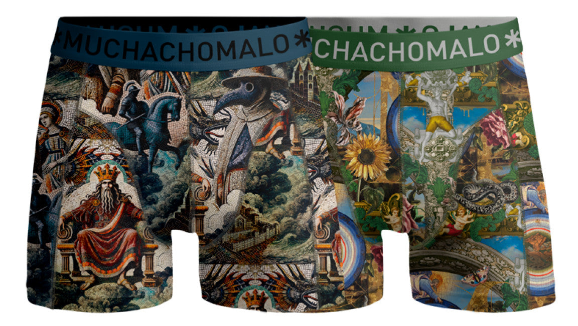 Premodern 04 2pk Boxer Print/Print