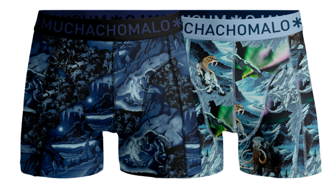 Prehistory 04 2pk Boxer Print/Print