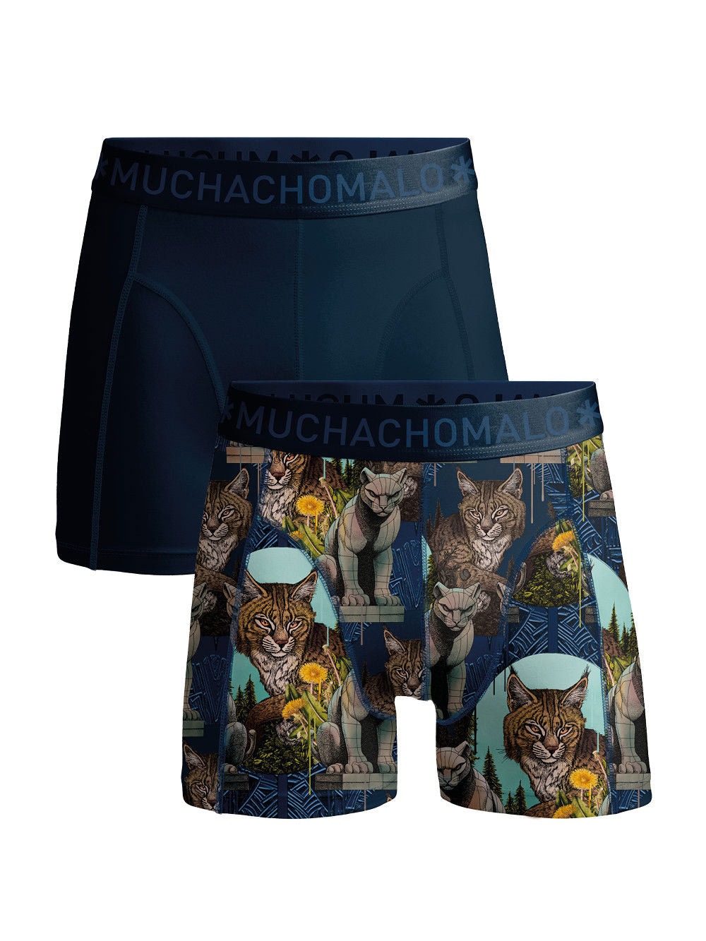 Wildcat 01 2pk Boxer C/m Print/Solid