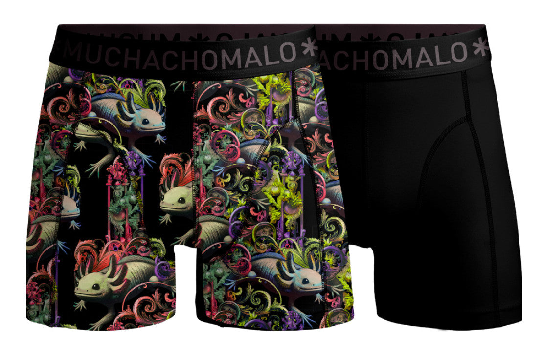 Axolotl 01 2pk Boxer C/m Print/Solid