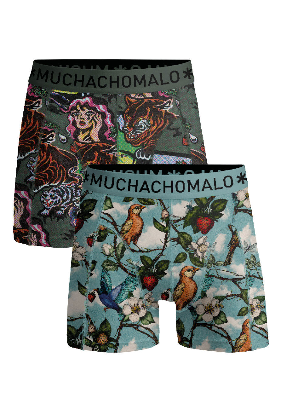 Fruit Origin 04 2pk Boxer Print/Print