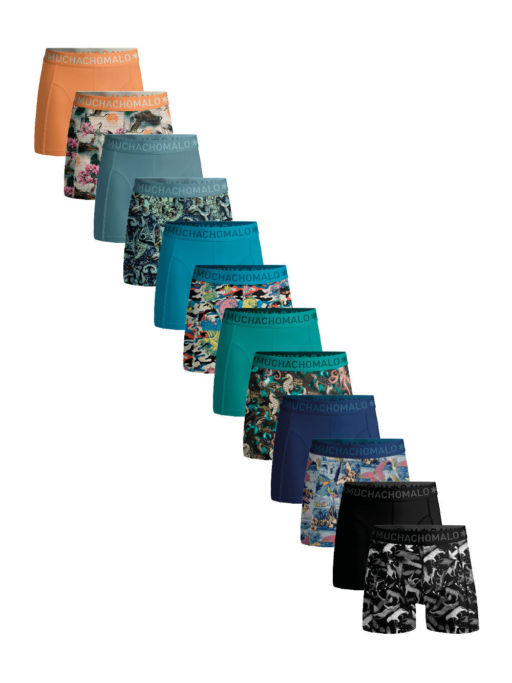 1010 12pk Boxer Print/solid 20 Assorted