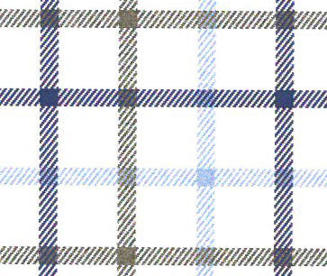 6618 35 RN Indigo Blue Check