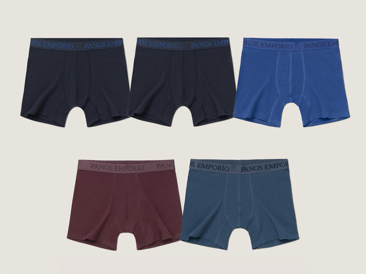 5pk Base Bamboo Boxer Navy/Blue Quartz/Bering Sea/Vineyard Wine/Navy