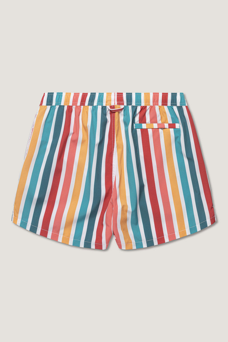 Classic Swimshort Stripe Stripe Multi