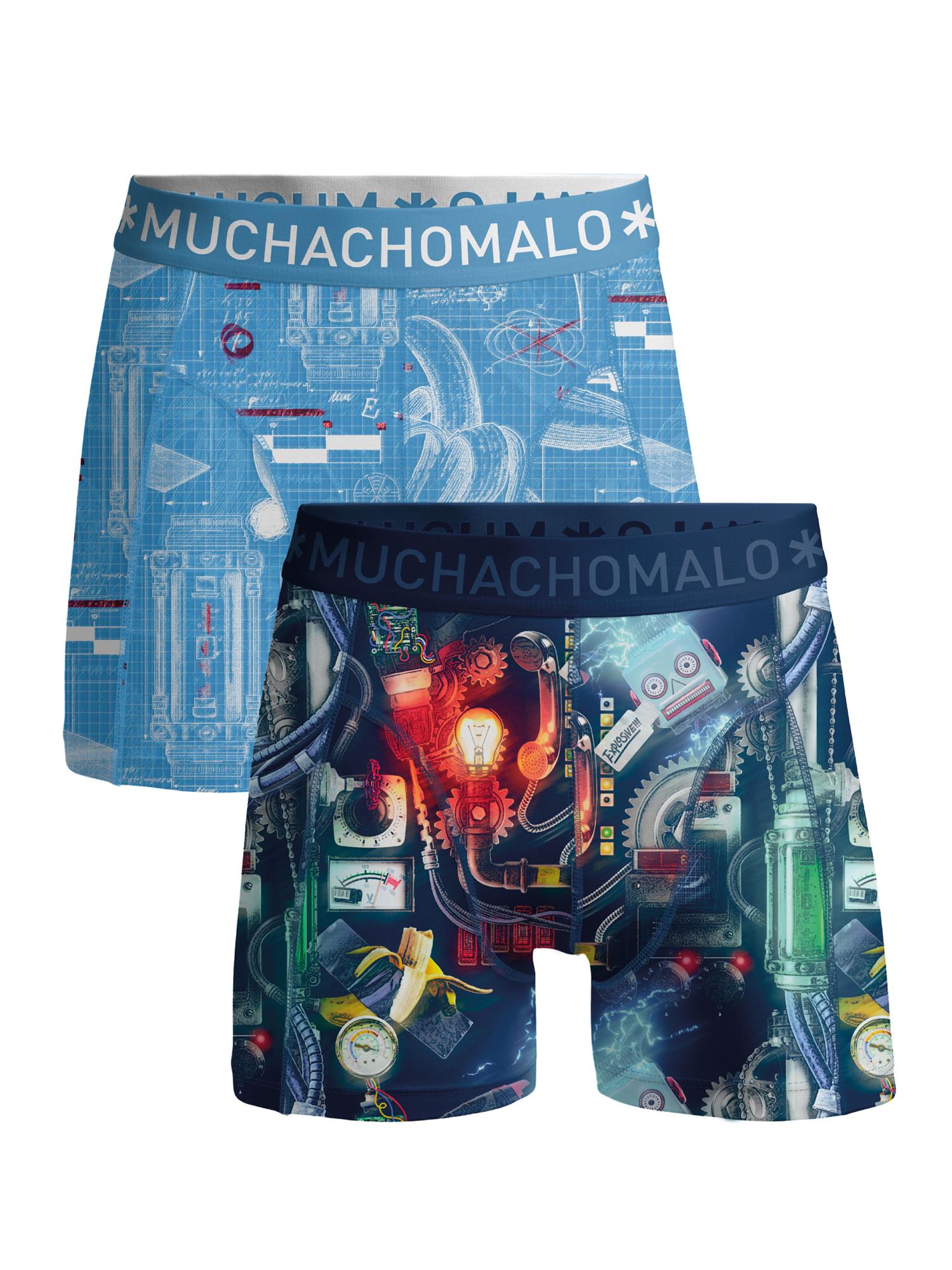 Blueprint 04 2pk Boxer Print/Print